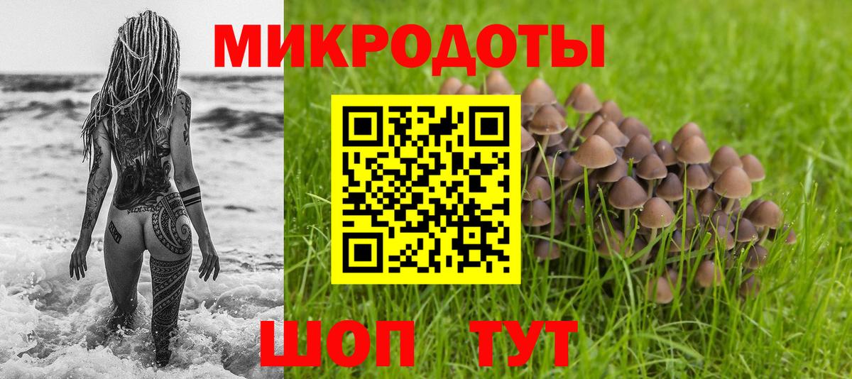 Галлюциногенные грибы Psilocybine cubensis Великие Луки