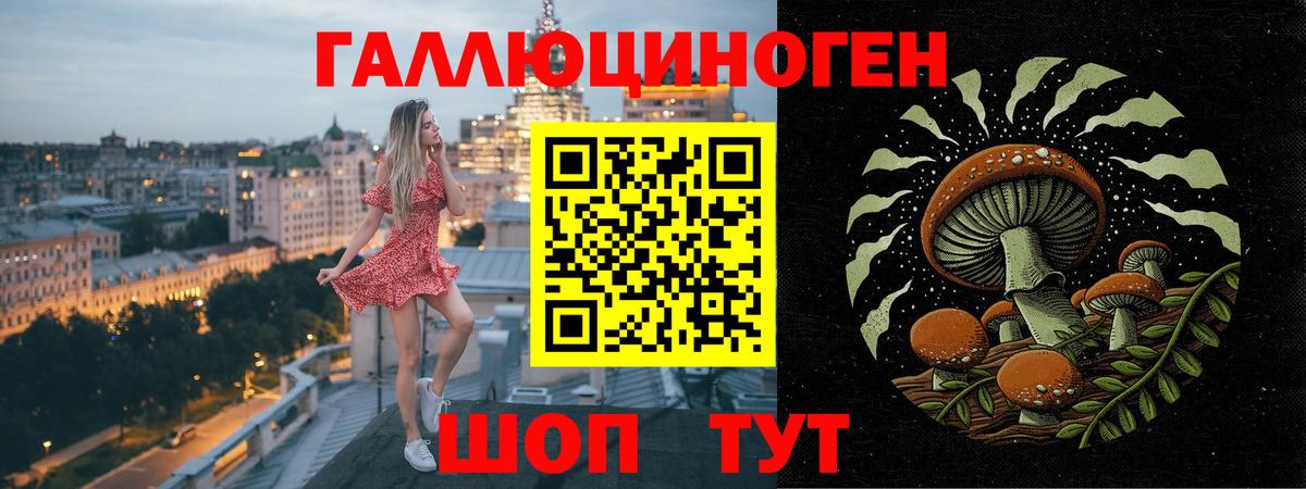 Галлюциногенные грибы Psilocybine cubensis  Галлюциногенные грибы ЛСД  Великие Луки  Вход с VPN 